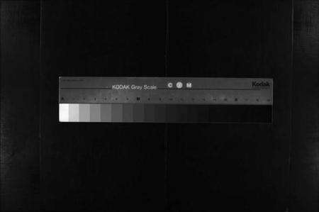 浙江傅氏族谱-东山傅氏宗谱 [40卷].pdf电子版缩略图