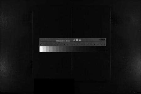 浙江黄氏族谱-东山黄氏宗谱 [残卷].pdf电子版缩略图