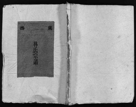 浙江林氏族谱-东岙林氏宗谱 [不分卷].pdf电子版预览图1