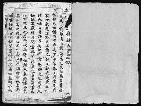 浙江林氏族谱-东岙林氏宗谱 [不分卷].pdf电子版预览图2