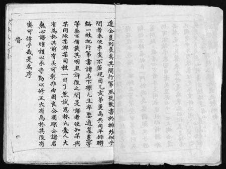 浙江林氏族谱-东岙林氏宗谱 [不分卷].pdf电子版预览图4