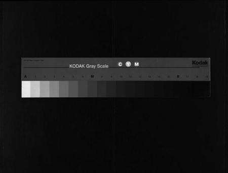 浙江李氏族谱-东李宗谱 [10卷].pdf电子版缩略图