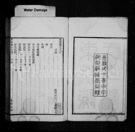 浙江陈氏族谱-东林陈氏支谱.pdf电子版预览图3