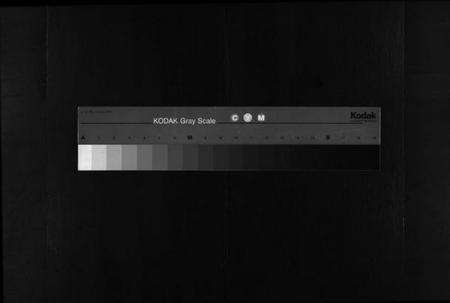 浙江黄氏族谱-东溪黄氏宗谱 [16卷].pdf电子版缩略图