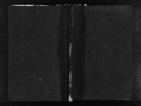 浙江金氏族谱-东田金氏族谱 [不分卷].pdf电子版预览图1