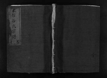 浙江谷氏族谱-东舘谷氏宗谱 [2卷].pdf电子版预览图1