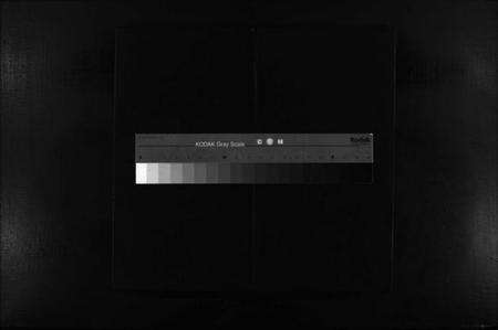 浙江谷氏族谱-东舘谷氏宗谱 [2卷].pdf电子版