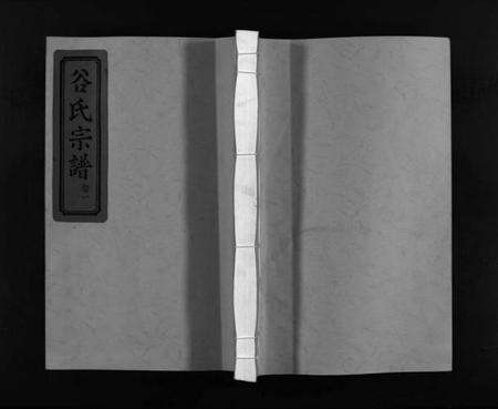 浙江谷氏族谱-东舘谷氏宗谱 [2卷].pdf电子版预览图1