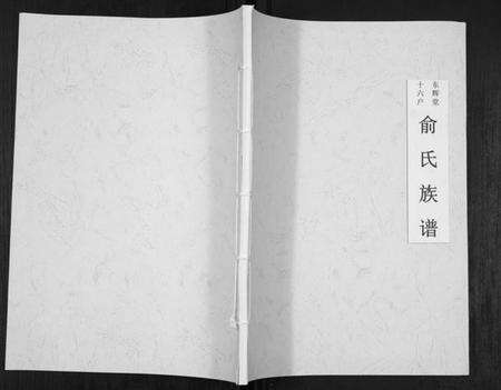 浙江俞氏族谱-东辉堂十六户俞氏族谱[不分卷].pdf电子版缩略图