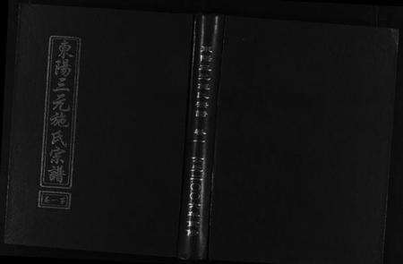 浙江施氏族谱-东阳三元施氏宗谱 [5卷].pdf电子版预览图1