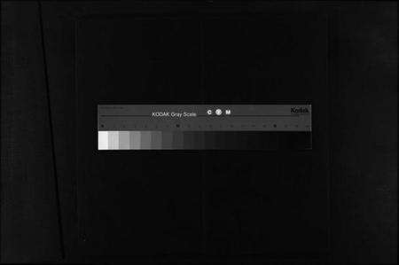 浙江卜氏族谱-东阳卜氏宗谱 [残卷].pdf电子版缩略图