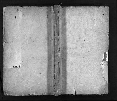 浙江卜氏族谱-东阳卜氏宗谱 [残卷].pdf电子版预览图1