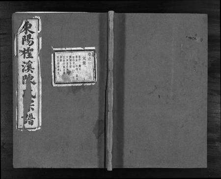 浙江陈氏族谱-东阳柽溪陈氏宗谱 [16卷].pdf电子版缩略图