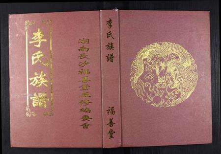 湖南李氏族谱-李氏族谱.pdf电子版缩略图