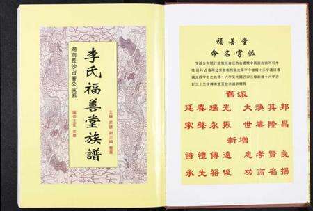 湖南李氏族谱-李氏族谱.pdf电子版预览图2