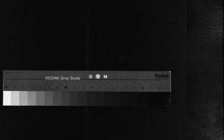 浙江叶氏族谱-东阳叶氏宗谱 [6卷].pdf电子版缩略图