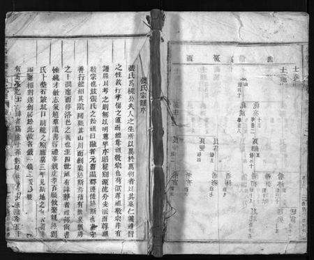 浙江张氏族谱-东阳双塘张氏宗谱 [5卷].pdf电子版预览图1