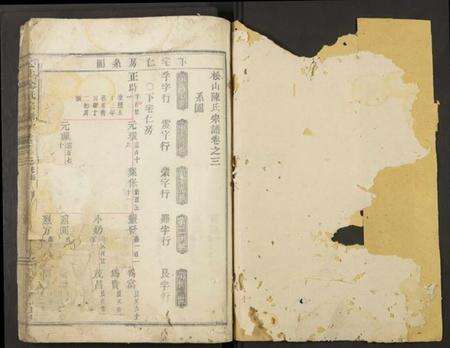 浙江陈氏族谱-松山陈氏宗谱 [残卷].pdf电子版预览图1