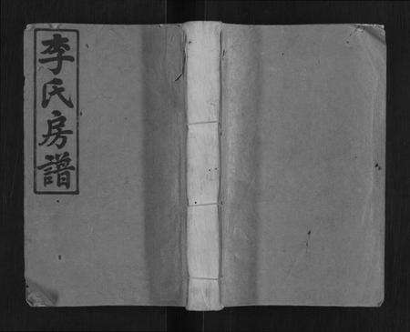 湖南李氏族谱-李氏族谱[不分卷].pdf电子版缩略图