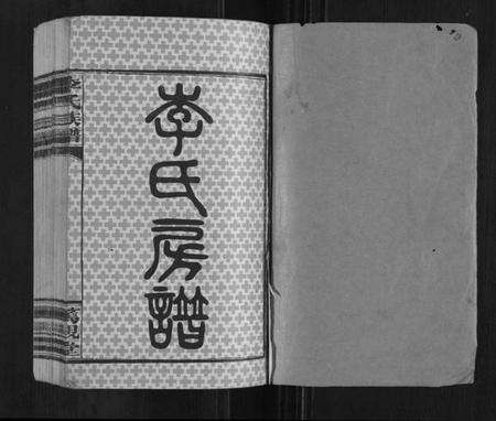 湖南李氏族谱-李氏族谱[不分卷].pdf电子版预览图1