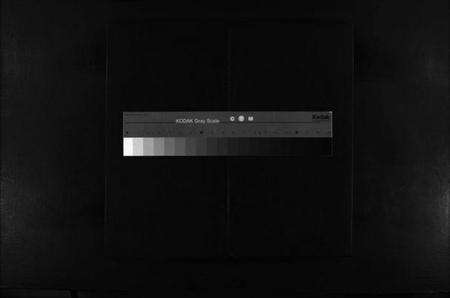 浙江金氏族谱-松洋金氏宗谱 [2卷].pdf电子版缩略图