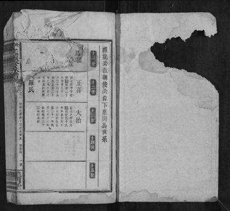 湖南李氏族谱-李氏续修族谱.pdf电子版预览图1