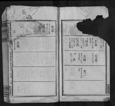 湖南李氏族谱-李氏续修族谱.pdf电子版预览图2