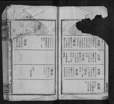 湖南李氏族谱-李氏续修族谱.pdf电子版预览图3