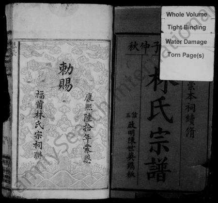 浙江林氏族谱-林氏宗谱.pdf电子版预览图3