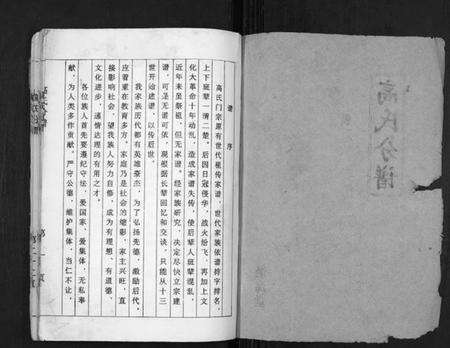 江苏高氏族谱-高氏分谱[不分卷].pdf电子版预览图1