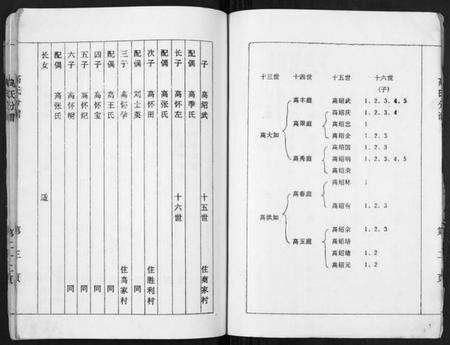 江苏高氏族谱-高氏分谱[不分卷].pdf电子版预览图3