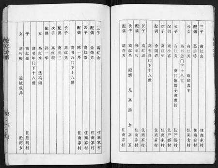 江苏高氏族谱-高氏分谱[不分卷].pdf电子版预览图5