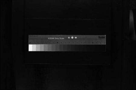 浙江林氏族谱-林氏宗谱 [不分卷].pdf电子版缩略图