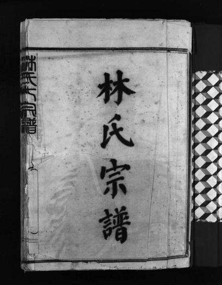 浙江林氏族谱-林氏宗谱 [不分卷].pdf电子版预览图3