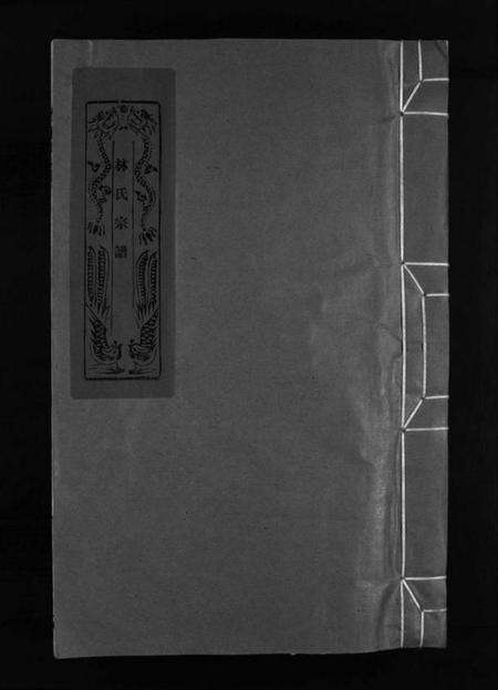 浙江林氏族谱-林氏宗谱 [不分卷].pdf电子版预览图1