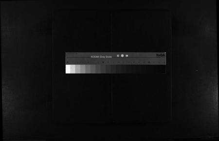 浙江林氏族谱-林氏宗谱 [不分卷].pdf电子版缩略图