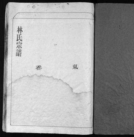 浙江林氏族谱-林氏宗谱 [不分卷].pdf电子版预览图2