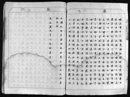 浙江林氏族谱-林氏宗谱 [不分卷].pdf电子版预览图4