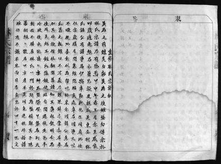 浙江林氏族谱-林氏宗谱 [不分卷].pdf电子版预览图5