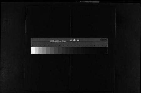 浙江林氏族谱-林氏宗谱 [残卷].pdf电子版缩略图