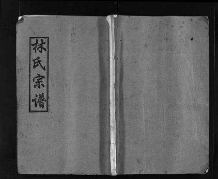 浙江林氏族谱-林氏宗谱 [残卷].pdf电子版预览图1