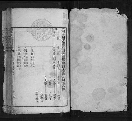 浙江林氏族谱-林氏朋公分谱传.pdf电子版预览图1