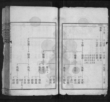 浙江林氏族谱-林氏朋公分谱传.pdf电子版预览图2