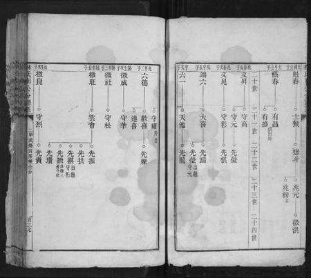 浙江林氏族谱-林氏朋公分谱传.pdf电子版预览图3