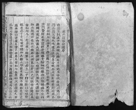 浙江麻氏族谱-柏溪麻氏宗谱 [10卷].pdf电子版预览图2