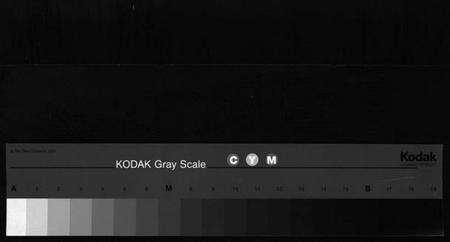 浙江章氏族谱-染川章氏宗谱 [不分卷].pdf电子版缩略图