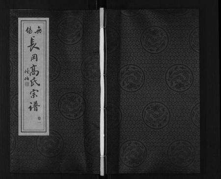 江苏高氏族谱-高氏宗谱[11卷].pdf电子版缩略图