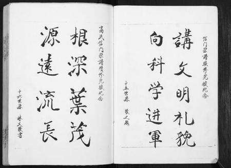 江苏高氏族谱-高氏宗谱[不分卷].pdf电子版预览图4