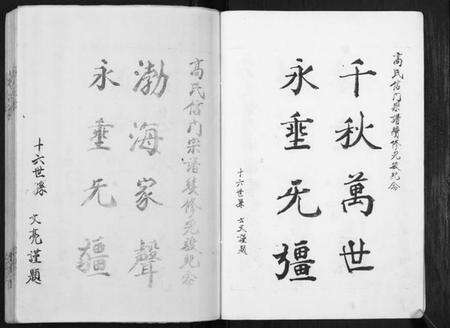 江苏高氏族谱-高氏宗谱[不分卷].pdf电子版预览图5