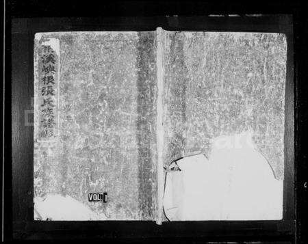 浙江张氏族谱-柟溪屿根张氏族谱.pdf电子版预览图1